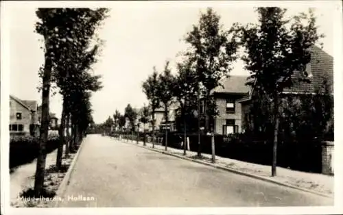 Ak Middelharnis Südholland, Straße mit Bäumen und Wohnhäusern, Schwarz-Weiß Fotografie