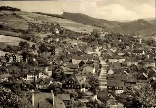 Ak Probstzella in Thüringen, Panorama