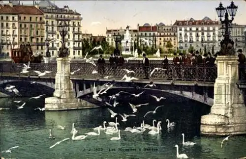 Ak Genf Stadt Schweiz, Genfer See mit Möwen, einer Brücke, Gebäuden und Menschen.