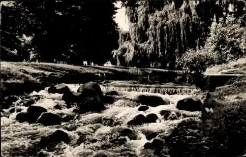 Ak Eberswalde in der Mark, Am Weidendamm