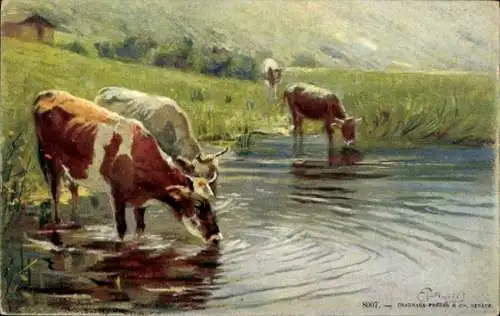 Künstler Ak Kühe trinken Wasser, Teich, Wiese