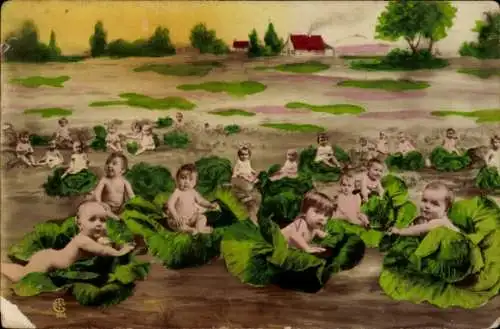 Ak Geburt, Babys in Kohlköpfen