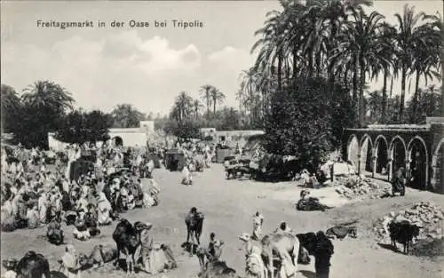 Ak Tripolis Libyen, Freitagsmarkt in der Oase, Kamele