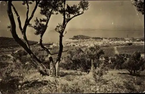 Ak Makarska Kroatien, Panoramablick auf die Stadt, Wasserfront, Bäume im Vordergrund