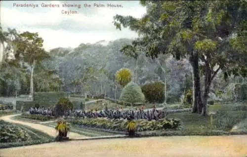 Ak Kandy Sri Lanka Ceylon, Peradeniya Gardens, Palm House, botanischer Garten, Pflanzen, Lands...