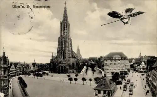 Ak Ulm an der Donau, Münsterplatz, Spatz