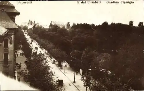 Ak București Bukarest Rumänien, B dul Elisabeta Grădina Cismigiu