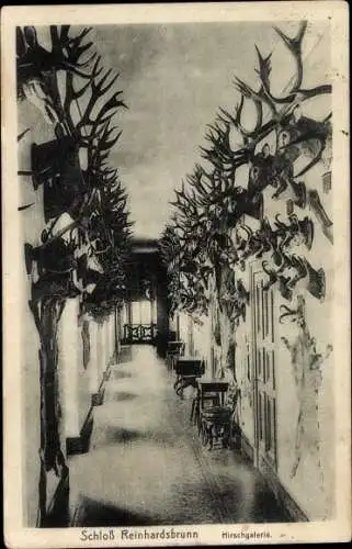 Ak Reinhardsbrunn Friedrichroda im Thüringer Wald, Schloss Reinhardsbrunn, Hirschgalerie