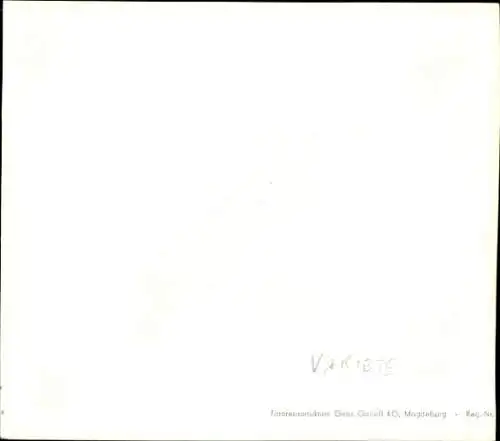 Foto Varieté, Iris Roy Trio