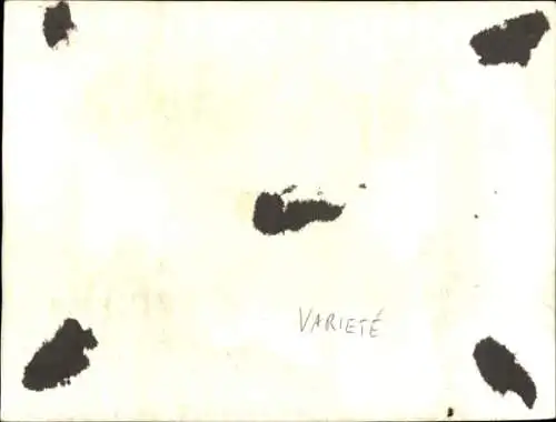 Foto Varieté, Seiltänzer, Rodolfo