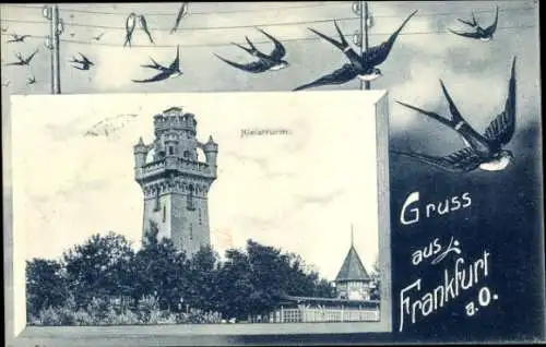 Passepartout Ak Frankfurt an der Oder, Kleisturm, Schwalben