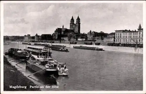Ak Magdeburg an der Elbe,  Partie an der Elbe