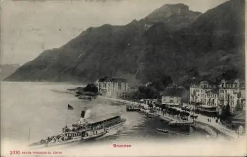 Ak Brunnen Kt Schwyz, Gesamtansicht