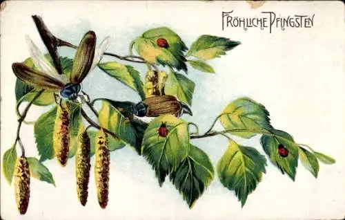 Ak Glückwunsch Pfingsten, Maikäfer, Marienkäfer, Blätter