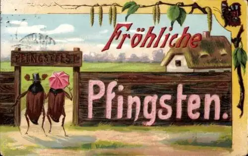 Ak Glückwunsch Pfingsten, Maikäfer beim Pfingstfest, Birkenzweig, Schmetterling