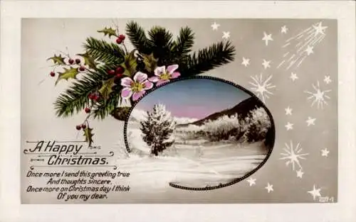 Ak Glückwunsch Weihnachten, Stechpalme, Tannenzweige