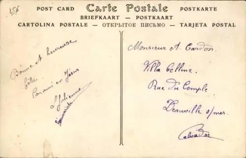 CPA Deauville sur Mer Calvados, Avenue de l'Hippodrome, Reseda, Les Verveines