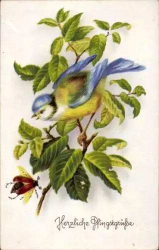 Künstler Ak Glückwunsch Pfingsten, Maikäfer, Vogel
