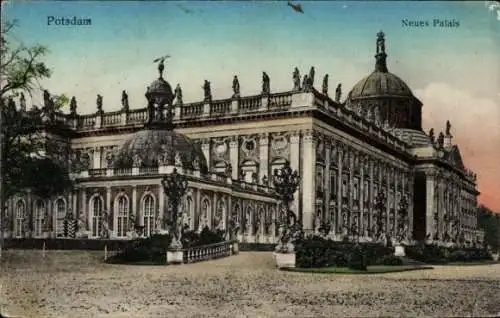 Ak Potsdam Sanssouci, Neues Palais, historisches Gebäude, farbige Postkarte, Baum im Vordergrund