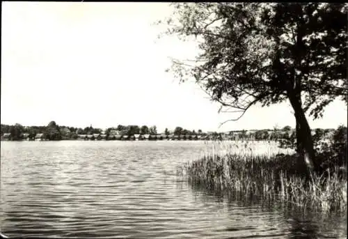 Ak Mirow Mecklenburgische Seenplatte, Mirower See