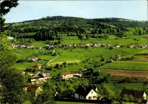 Ak Wilhelmsfeld bei Heidelberg, Gesamtansicht