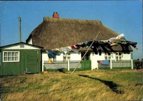 Ak Insel Hiddensee in der Ostsee, Traditionelles Fischerhaus, Reetdach, Wäscheleine, saftiges ...