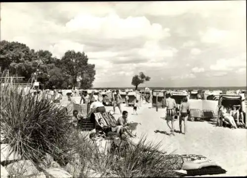 Ak Ueckermünde in Vorpommern, Strand mit vielen Menschen, Liegestühlen, Bäumen und Wolken