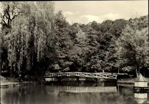 Ak Bad Freienwalde an der Oder, Brücke über Gewässer, Bäume, ruhige Landschaft