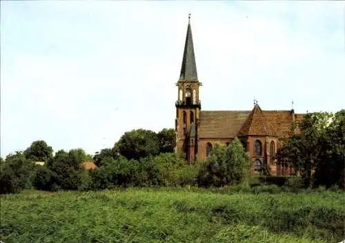 Ak Ostseebad Wustrow Fischland, Kirche, Grüne Wiesen, Baumlandschaft, Blauer Himmel