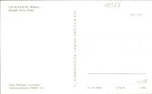 Ak Thiessow auf Rügen, Klein Zicker, Kühe, Bodden