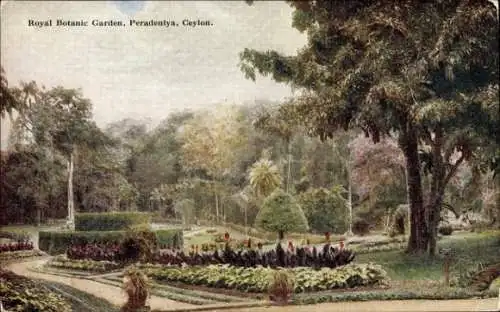 Ak Peradeniya Sri Lanka Ceylon, Royal Botanic Garden