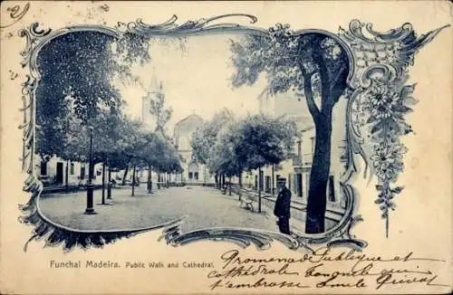 Ak Funchal Insel Madeira Portugal, Öffentlicher Spaziergang, Kathedrale, schattige Bäume, Häuser