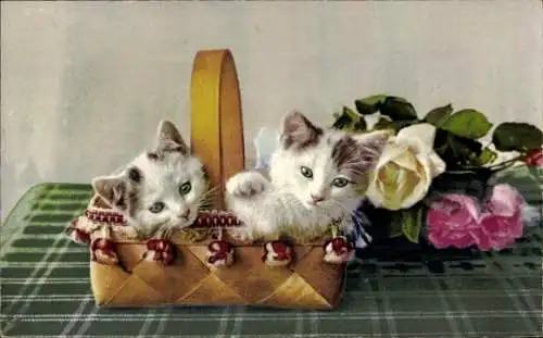 Ak Zwei junge Katzen in einem Spankorb, Rosen