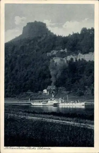 Ak Bad Schandau an der Elbe, Lilienstein, Raddampfer