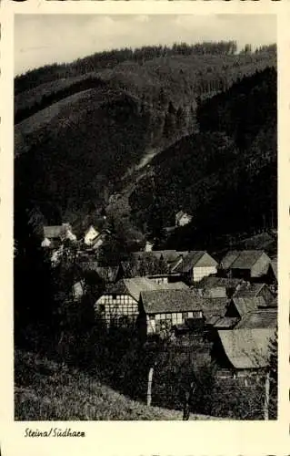 Ak Steina Bad Sachsa im Harz, Teilansicht, Fachwerkhäuser