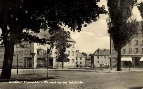 Ak Eberswalde im Kreis Barnim, Westend, Boldstraße