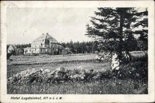 Ak Altenberg im Erzgebirge, Hotel Lugsteinhof