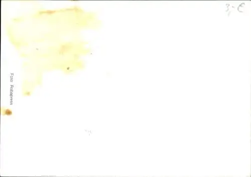 Ak Schauspieler Michael Evans, Portrait, RTL