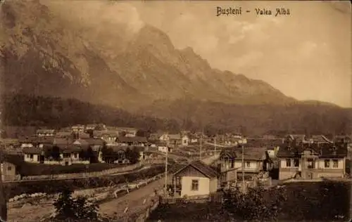 Ak Busteni Große Walachei Rumänien, Valea Alba, Panorama