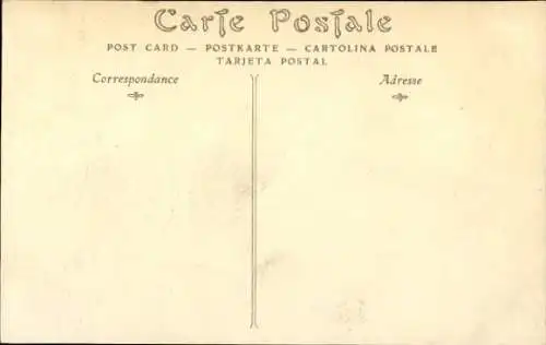 Ak Französische Armee, Geschütze