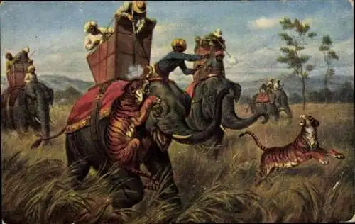 Ak Tiger greifen Elefanten an, Jagd