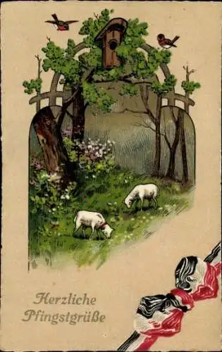 Ak Glückwunsch Pfingsten, Lämmer, Vogelhaus, Schleife