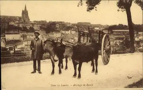 Ak Langon Gironde, Ein Mann steht neben einem Ochsengespann auf einer Landstraße. Im Hintergru...