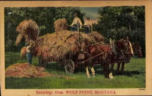 Ak Wolf Point Montana USA, Heuernte