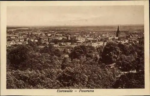 Ak Eberswalde, Panorama