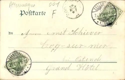 Ak Schierke Wernigerode am Harz, Viehtrieb durch den Ort