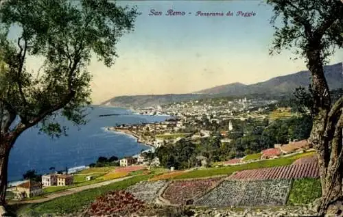 Ak San Remo Ligurien, Panoramablick auf  Küste, grüne Hügel, Häuser, Weinberge