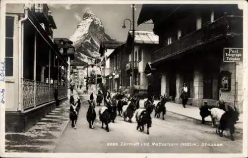 Ak Zermatt Kanton Wallis Schweiz, Straße mit Ziegen, Matterhorn im Hintergrund, historische Ge...