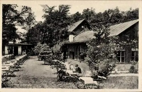 Ak Gundorf Böhlitz Ehrenberg Leipzig in Sachsen, Damholzschänke, Waldgaststätte, Terasse mit T...