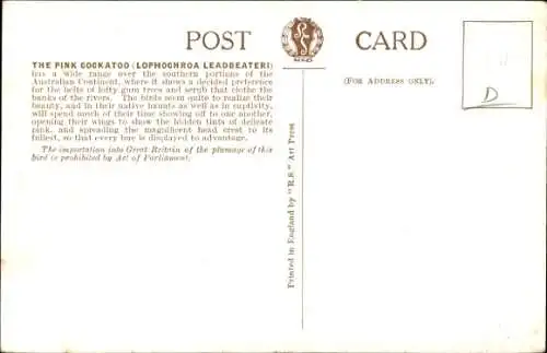 Künstler Ak the pink Cockatoo, Lophochroa Leadbeateri